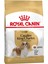 Yetişkin King Charles Tavuklu Köpek Maması 1,5 kg 1