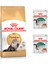 Adult Yetişkin Persian Kedi Maması 2 kg + Royal Canin Yetişkin +7 Yaş Mama 2 Adet 1
