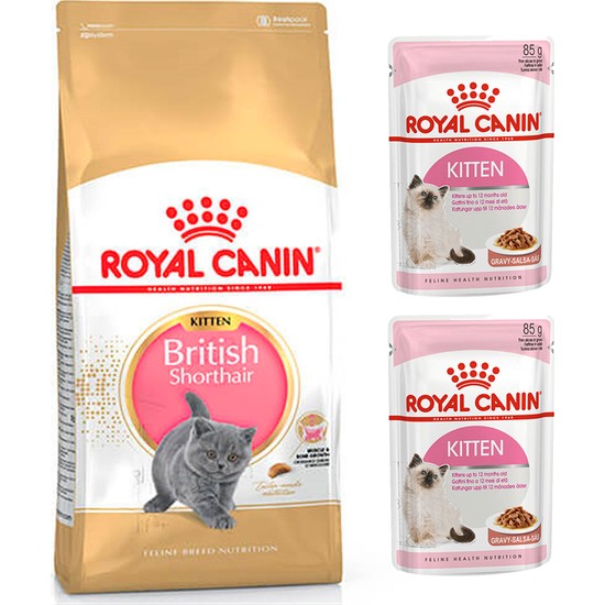 Royal Canin British Shorthair Kitten Yavru Kedi Maması 2 kg Fiyatı