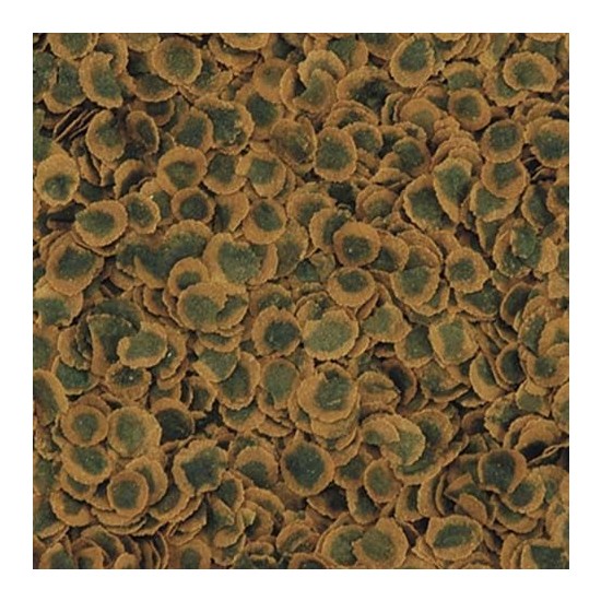 Tetra Pro Algae Vegetable 1000Gr (Açık) Fiyatı Taksit Seçenekleri