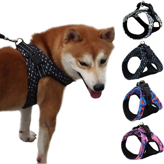 Köpek Göğüs Tasması Fiyatı, Taksit Seçenekleri ile Satın Al