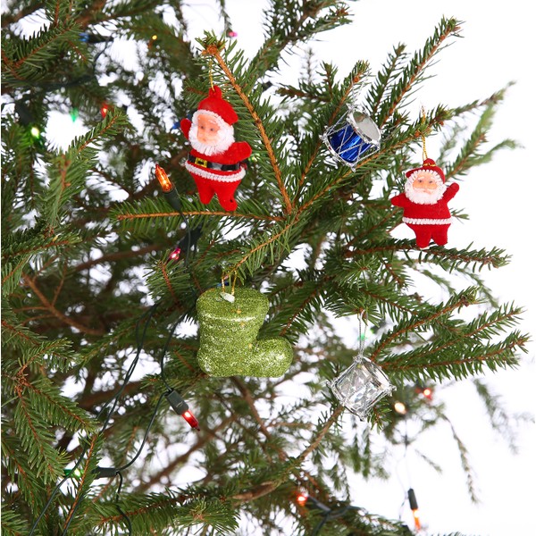 Yılbaşı ağacı beyaz mavi ışıklar ile Çam Ağacı Fidanı Fiyatları ve Modelleri - Hepsiburada