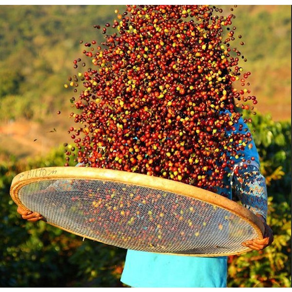 Mineiro Coffee Süpermarket Ticari Kartlara 9 Taksit