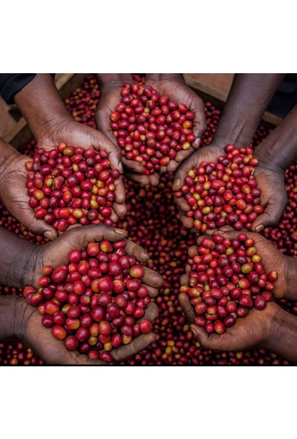 Mineiro Coffee Süpermarket Ticari Kartlara 9 Taksit