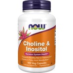 Now Choline & Inositol 100 Veg Kapsül Amerika Menşeli Vitamin ve Mineral Takviyesi