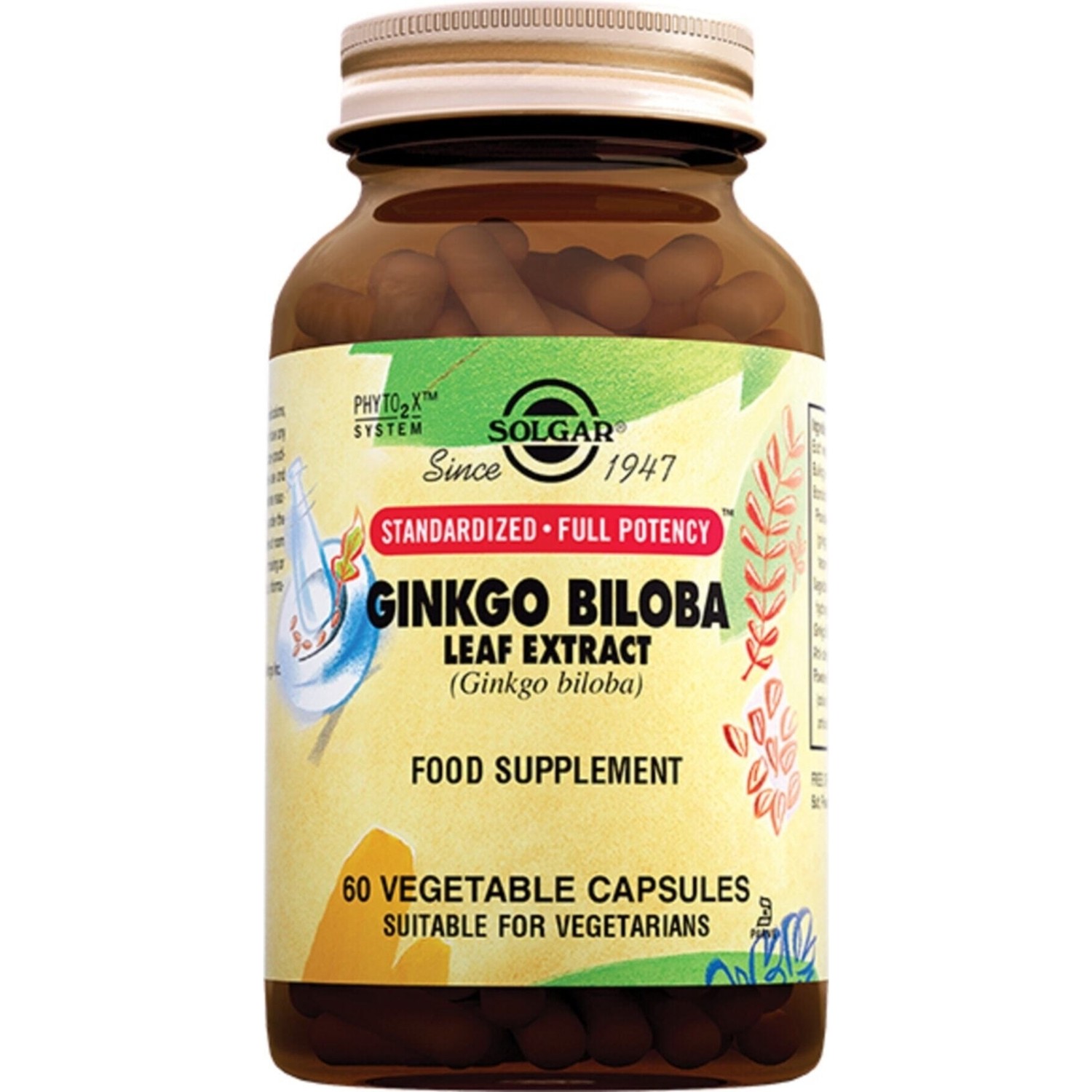 Solgar Ginkgo Biloba Leaf Extract 60 Kapsul (Ginko) Fiyatı