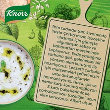 Knorr Hazır Çorba Yayla Çorbası 72 g