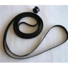 HP 07570-60105 Hp Designjet 650C Maın Belt