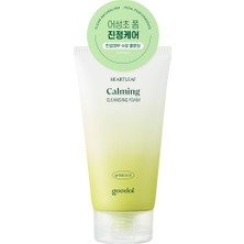 Goodal Heartleaf Calming pH Balancing Cleansing Foam - Houttuynia Cordata Özlü pH Dengeleyici Köpük Temizleyici