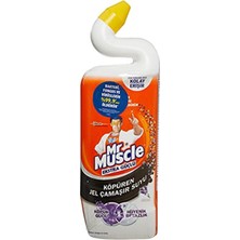 Mr. Muscle Mr Muscle Çamaşırsuyu Katkılı Tuvalet Temizleyici Lavanta 750 ml