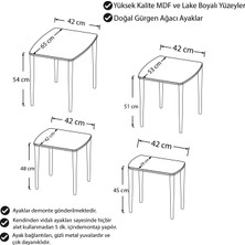 Canisa Concept Argent Serisi  Mdf ve Lake Boya  Krem 4lü Zigon Sehpa Takımı  Gürgen Ayaklar