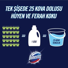 Domestos Yüzey Temizleyici ÇAM1500 ml+DAĞ Esintisi Çamaşır SUYU750 ml+HIJYENIK Köpük BANYO/MUFTAK450M