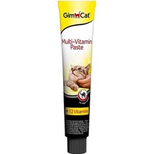 Gimcat Multi Vitamin Paste 100 gr