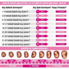 Biosal Folik Asit 400 Mcg 120 Tablet