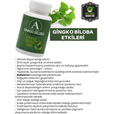 Ayosnet Ginko Biloba