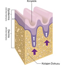 We Collagen The Baharat Biomet Wecollagen 90 Tablet Hyaluronic Acid Biotin Collagen Kolejen