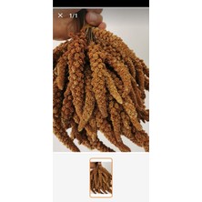 Soha Ticaret Kızıl Daldarı 1 Kğ Sohaticaret