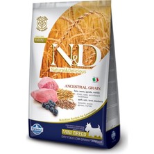 N&D  Düşük Tahıllı Kuzulu Küçük Irk Yetişkin Köpek Maması 2.5 kg