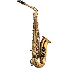 Silver SAS-190 Debut Serisi Gold Finish Alto Saksafon