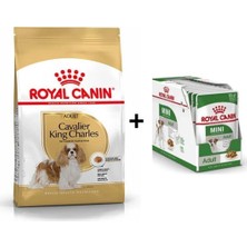 Royal Canin Cavalier King Charles  Yetişkin Köpek Maması 1,5 kg + 12 Adet Yaş Mama