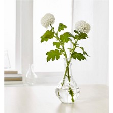 IKEA Padrag ve Vıljestark Dekoratif Cam Vazo 2'li 17 cm