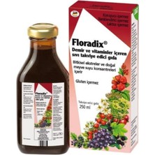 Floradix Demir Ve Vitaminler Içeren Takviye Edici Gıda 250 Ml