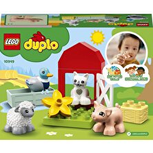 LEGO® DUPLO® Town Çiftlik Hayvanı Bakımı 10949 Çocuklar için Yaratıcı bir Oyuncak; Parçalarla Yapılan Çiftlik Oyun Seti ve 4 Hayvan Figürü (11 Parça)