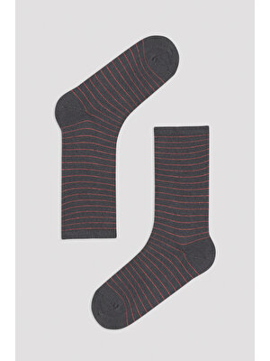 Penti Çok Renkli Thin Colorful Stripe 5li Soket Çorap