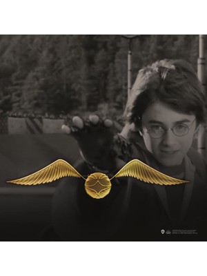 Sihir Dükkanı Snitch Pin 3×4 cm Lisanslı Metal Erkekler İçin Özel Tasarım Aksesuar