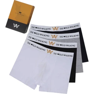 Thewıldwalkıng Erkek Boxer 3'lü