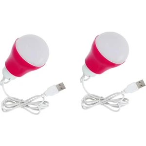 5W 6V USB Kablolu Beyaz LED Ampul 2 Adet