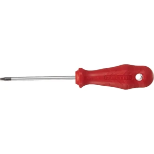 Delikli Torx Uçlu Tornavida Tr 25
