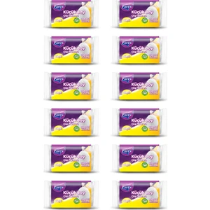Güçlü Çöp Torbasi Küçük Boy 12'li Paket