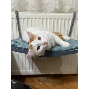 Alan Karlı Kedi Yatağı, Petek Kalorifer Radyatör Yatağı Askılı Kedi Yatağı Hamağı Terası (47X 27,5 cm 18 Kg)