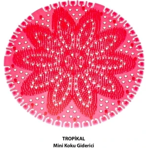 Mini Lavabo Pisuvar Süzgeci Koku Giderici 5 Adet Çilek Tropikal