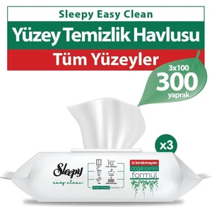 Easy Clean Yüzey Temizlik Havlusu 3X100 (300 Yaprak)