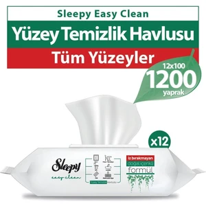 Easy Clean Yüzey Temizlik Havlusu 12X100 (1200 Yaprak)