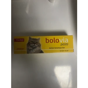 Bolovia Kedi Maltı