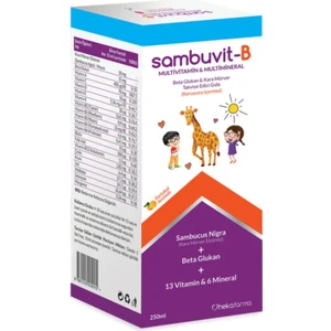 Heka Farma Sambuvit-B Multivitamin Şurup 250 Ml