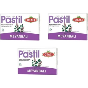 Meyanbalı Bitkisel Pastil 16'Lı 3 Adet
