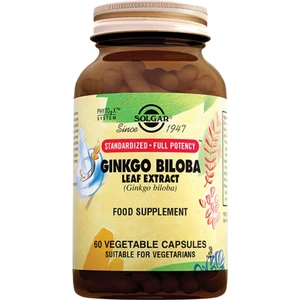 Ginkgo Biloba Leaf Extract 60 Kapsul (Ginko)