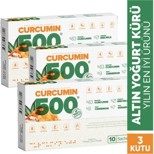 Curcumin 500 Detox (3 Kutu 30 Şase)
