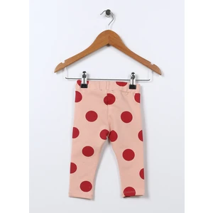 Pudra Bebek Tayt 22FWG-21