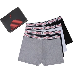 Rainsnow Erkek Boxer 3'lü