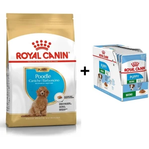 Royal Canin Poodle Puppy Köpek Maması 3 kg + 12 Adet Yaş Mama
