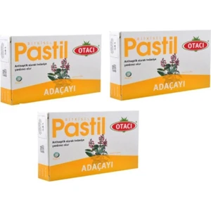 Adaçayı Pastil 16'Lı 3 Adet