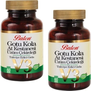 Gotu Kola At Kes.Üzüm Çek.Ekstraktı V-3 Kap.355mg*60 2 Adet