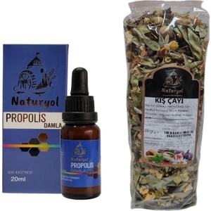Propolis - Kış Çayı Hediyeli