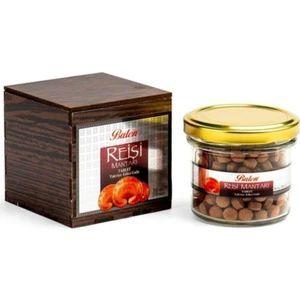 Reishi Mantarı Tablet 300 Mg x 200