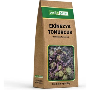 Yeşil Pazar Ekinezya Tomurcuk 40 gr